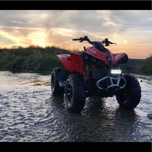 Meet your Posher, Dylan